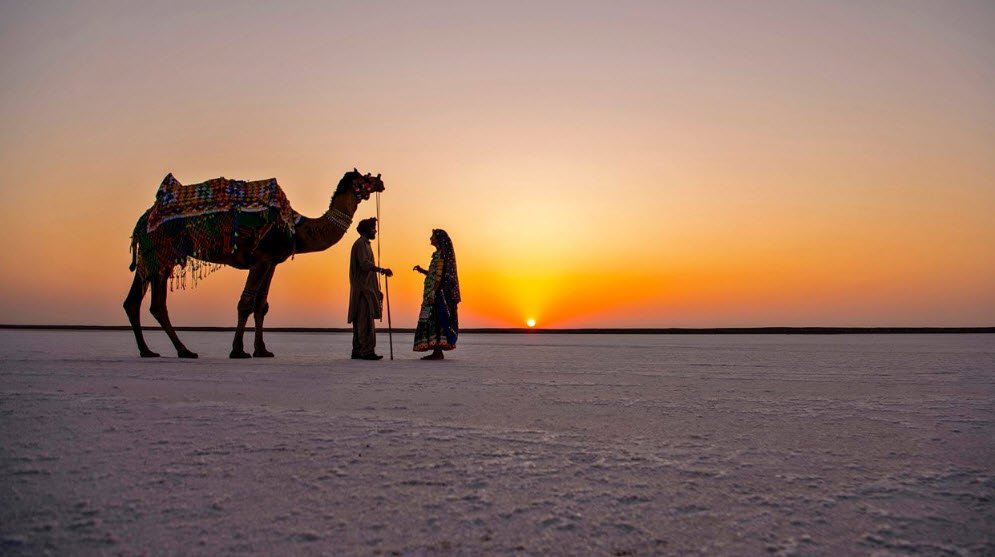 Rann of Kutch, Gujarat, India
